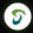 RSSO Logo