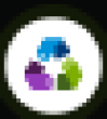 RSVV Logo