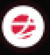 RGIC Logo