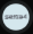 RWGS Logo