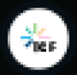 RICFI Logo
