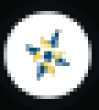 RAESI Logo
