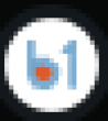 RBFST Logo