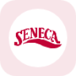 RSENEB Logo