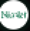 RNIC Logo