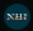 RNHI Logo